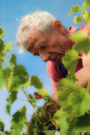 Contacter le Mas de la Plaine Haute. Vins bio en Occitanie.