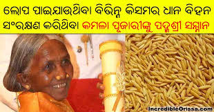 Kamala Pujari Preserver Of Paddy Seeds From Odisha Gets Padma Shri Incredible Orissa Pujari was one of the three people from odisha to be awarded padma shri. paddy seeds from odisha gets padma shri