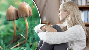Image result for Psilocybin