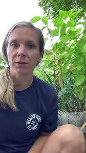 Laura Markle's story about how she didn't have a Rainbow Baby. Laura  shares, “How can I put into a short video the gratefulness I feel for what  I do...