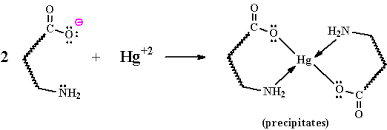 This test used for detecting the presence of tryptophan in proteins. Organic Chemistry 3510 Proteins And Amino Acids