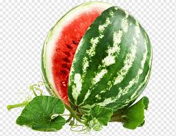 Check spelling or type a new query. Daun Semangka Png Pngwing