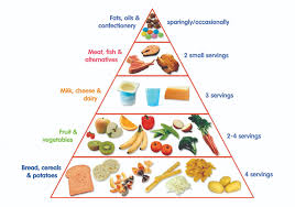 Toddler Food Pyramid First 1000 Days