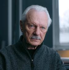 Dark Woods (TV Mini Series 2020– )