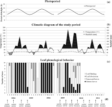 Image result for Centrolobium robustum