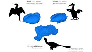Comparing The Brains Of Dinosaurs And Modern Birds Offers Insight Into Relationships Between Brain Shape And Behavior Gold dinosaur clip art ~ graphics ~ creative market. brains of dinosaurs and modern birds