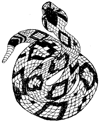 Rattlesnake coloring page you can print. Pin On Animals And Other Critters To Color