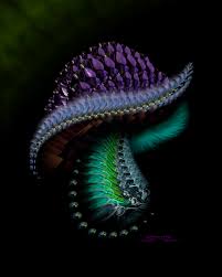 images?q=tbn:ANd9GcRinZGEg4YXGeKvRBIIIwD