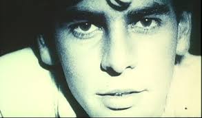 Cierv-o-Robot-o — over the garden wall really just aired its 10...