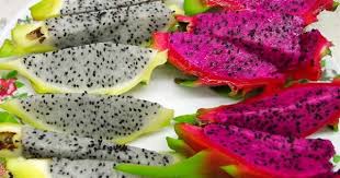 12 Benefícios da Pitaya e 7 formas de consumir - Médico Responde