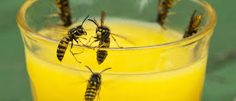 Mel Popss OnlyFans Leak - Your Gateway to Her Enticing World