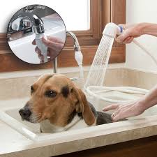 Rinse Ace 3 Way Pet Faucet Sprayer Petco Store Petco Cat Grooming Dog Tub
