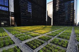 By providing your mobile number you are consenting to receive a. Td Living Roof Green Reason