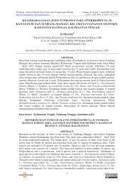 Image result for Zygophlebia villosissima