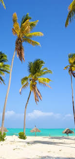 Urlaubsziele reiseziele sansibar strand tansania safari sansibar tansania. Tansania Kreuzfahrt Das Beste Aus Safari Und Strandurlaub Phoenix Reisen Gmbh