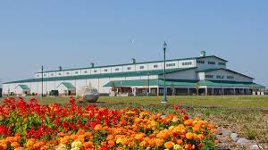 An efficient framework for high fidelity face swapping. Lake County Fairgrounds Enjoy Illinois