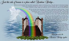 Rainbow Bridge Google Images Rainbow Bridge Rainbow Bridge Poem Pets