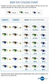 Eye Colour Probability Chart Augen Farbe Augenfarbe Haarfarben Charts