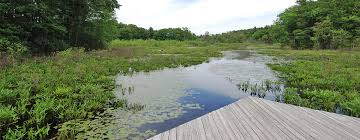 Best Nature Centers For Kids Around Boston Upparent