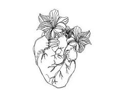 Ancestry and honoring one's roots. The Sunflower And Her Flowers Pdf Summary Rupi Kaur 12min Blog
