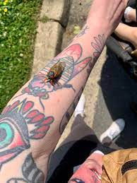 The cicada tattoo can represent our connection with the sun. This Cicada On My Cicada Tattoo Mildlyinteresting