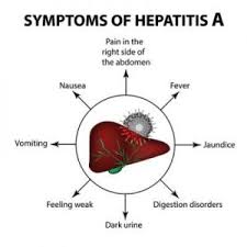 Indian Diet Plan For Hepatitis A B C D And E Dietburrp