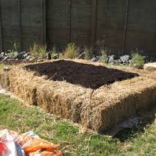 Vegetable Garden Have You Considered The No Dig Method Its Easy Garden Ideas Inspira Raised Vegetable Gardens Vegetable Garden Raised Beds Diy Garden Bed