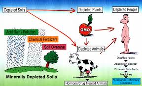 Káº¿t quáº£ hÃ¬nh áº£nh cho deplete soil