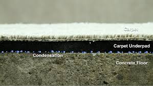 We did not find results for: Summertime Basement Mustiness Q A Concrete Floors Often The Culprit Baileylineroad