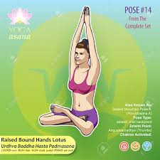 Excercising postures or asanas in hatha yoga has two essential objectives. Illustration Von Yoga Ubungen Mit Volltextbeschreibung Namen Und Symbolen Der Beteiligten Chakras Weibliche Figur Die Die Position Des Korpers Haltung Oder Asana In Sitzender Position Zeigt Lizenzfrei Nutzbare Vektorgrafiken Clip Arts