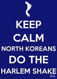 19 Best North Korea Is Big Brother Images North Korea Korea George Orwell