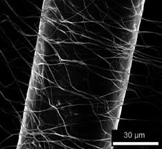 10″ or 20″ (both have. Electrospun Filters For Air Filtration Comparison With Existing Air Filtration Technologies Springerlink