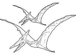 This wallpaper was posted in september 12, 2019 at 7:03 am. Pterodactyl Coloring Pages Coloring Pages For Kids And Adults