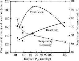 Limits Of Human Lung Function At High Altitude Journal Of