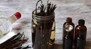 Vanilla Extract Mosquito Repellent Pest Hacks