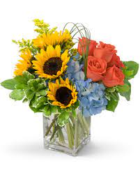 Check spelling or type a new query. Fun In The Sun In Mandeville La Flowers N Fancies By Caroll Inc