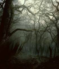 Pin On One Day I Ll Be Here