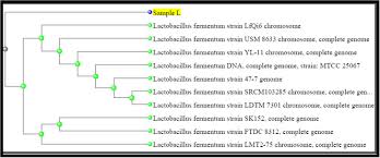 Context sentences for 欢迎 in english. Scielo Brasil Characterization And Probiotic Potential Of Lactic Acid Bacteria Isolated From Dadiah Sampled In West Sumatra Characterization And Probiotic Potential Of Lactic Acid Bacteria Isolated From Dadiah Sampled In