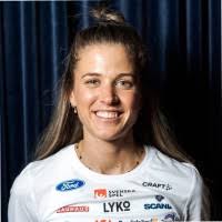 100+ perfiles de «Dyvik»