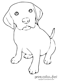 Cute Puppy Print Color Fun My favorite picture of my little man.