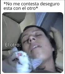 Lo que callamos los MICHIS 😸