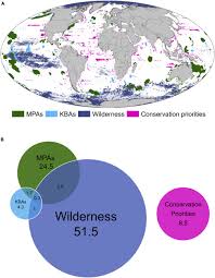 Planet earth into the wilderness. Area Requirements To Safeguard Earth S Marine Species Sciencedirect