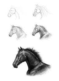 How To Sketch Draw Paint How To Draw A Horse S Head By Monika Jasnauskaite Horse Head Drawing Horse Art Drawing Horse Drawings