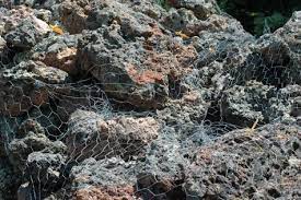 It can create a tropical volcanic paradise or a relaxed and peaceful firering for two. Ute Lava Moss Pallet High Plains Stone Company Colorado S Source For Flagstone Boulders And Landscaping Rock Denver Metro Area High Plains Stone Company Colorado S Source For Flagstone