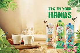 Namaste india is one of the best milk brand in india which is growing and becoming popular for their quality. New Singaporean Brand Only Earth Launches Oat And Coconut Milk In India Vegconomist The Vegan Business Magazine