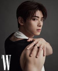 Cha Eun Woo mandatory military service enlistment update: The actor  reportedly attended an interview for the Army Military Band today, and is  most likely to start his mandatory military service this year