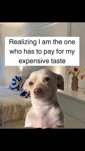 images?q=tbn:ANd9GcRioMLa29ef5wzZ9GyGJ3E