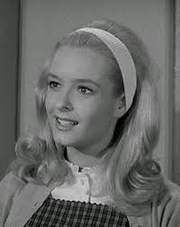 Leave It to Beaver" The All-Night Party (TV Episode 1963)