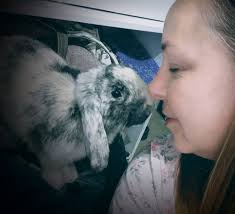 Will getting a second bunny affect the bond with my current pet?