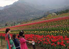 Ya, karena di sana memang banyak hal menarik yang bisa kamu dapatkan dan namun banyak wisatawan yang hanya berkunjung di rajasthan dan india bagian utara saja. 25 Tempat Menarik Di Kashmir New Delhi Agra Jaipur Golden Triangle India In 2021 Kashmir India Pale
